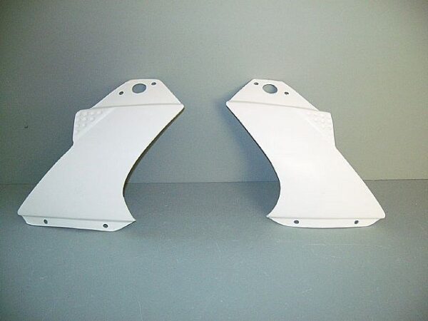 Aprilia Rsv 1000 2006/2008 FIANCHETTI x cupolino