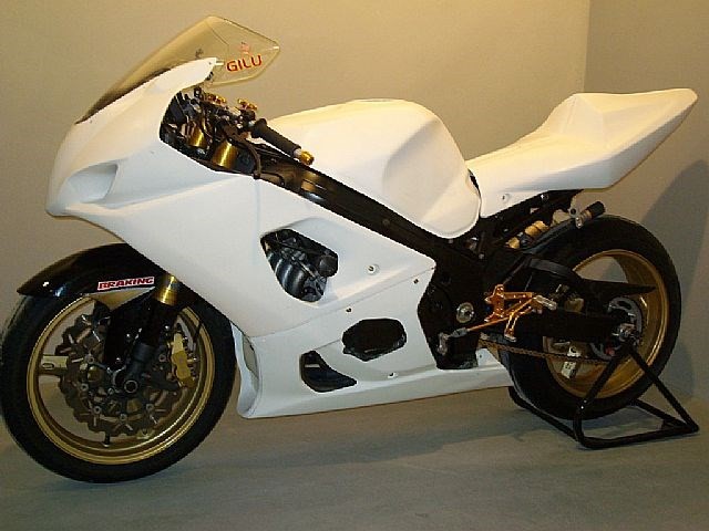 Suzuki GSX-R 1000 2003/2004 Carena Racing