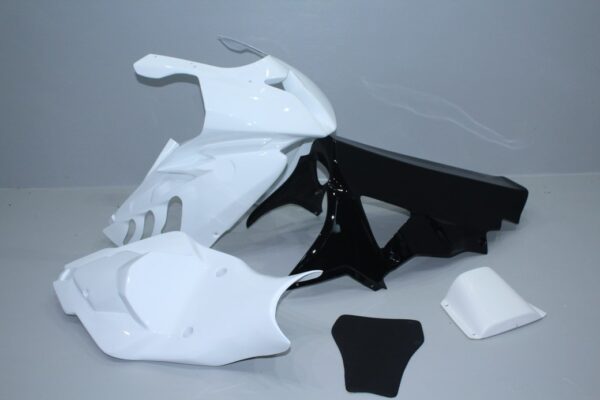 BMW S1000RR 2009/2011 Carena VERENICIATA