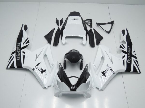 DAYTONA TRIUMPH 675 2006/2008 Carena in ABS verniciata replica - immagine 3