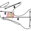 CARENA ANTERIORE mod. B - immagine 5