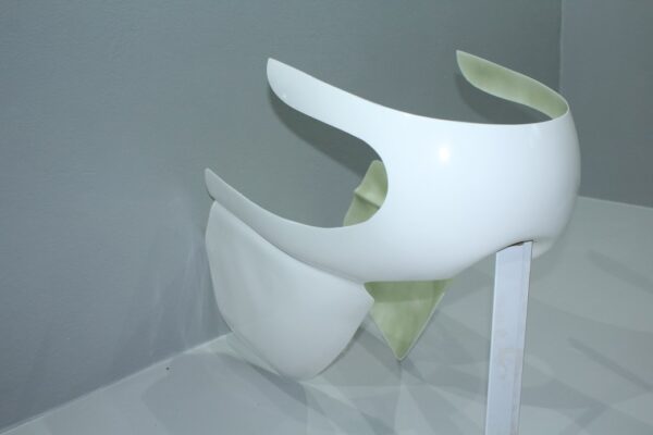 CARENA ANTERIORE mod. B - immagine 3