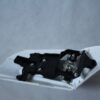 SUZUKI GSX-R 1000 2009/2016 COPRISELLA in abs - immagine 2