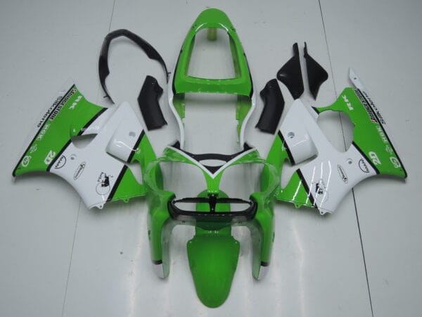 KAWASAKI ZX-6R 00/02 carena stradale in abs  verniciata replica